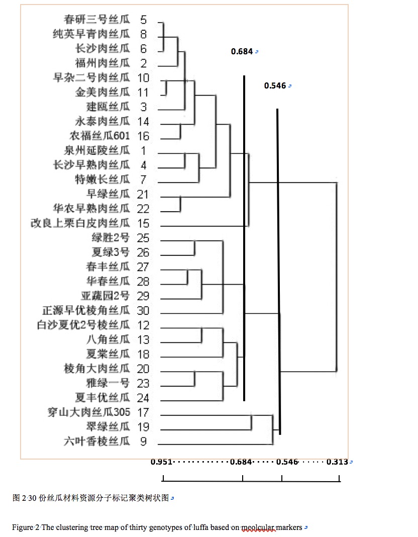 封面图片