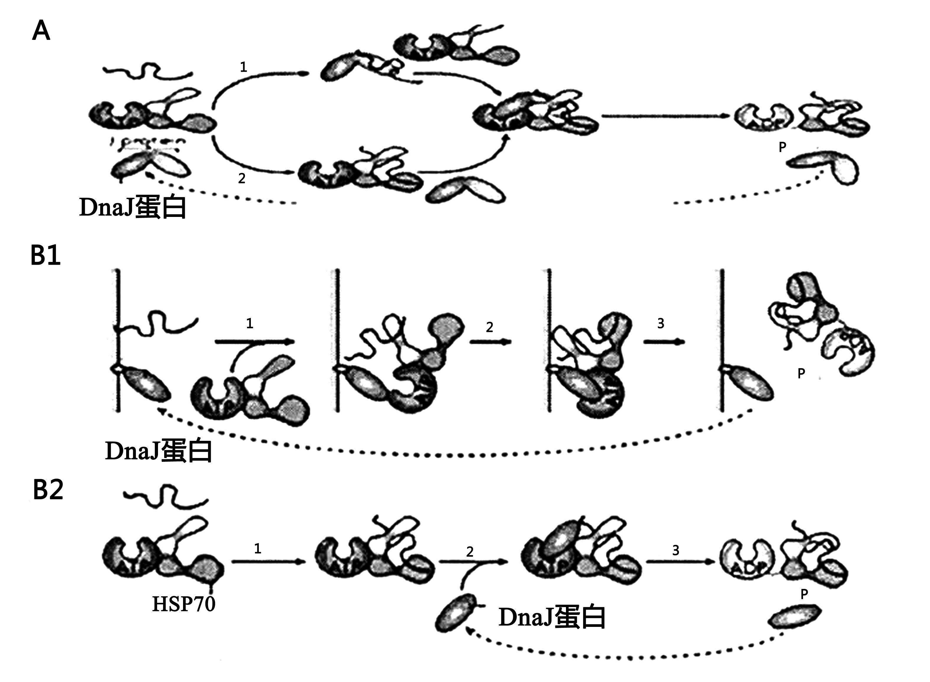 封面图片