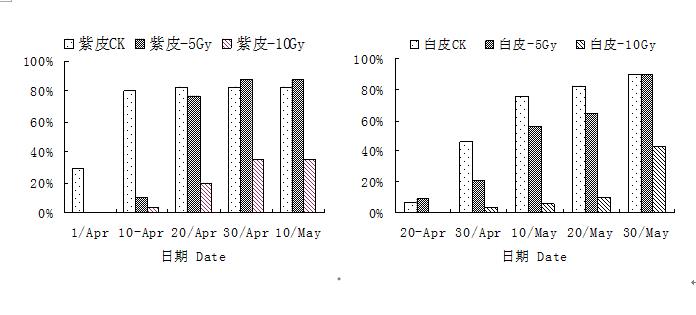 封面图片