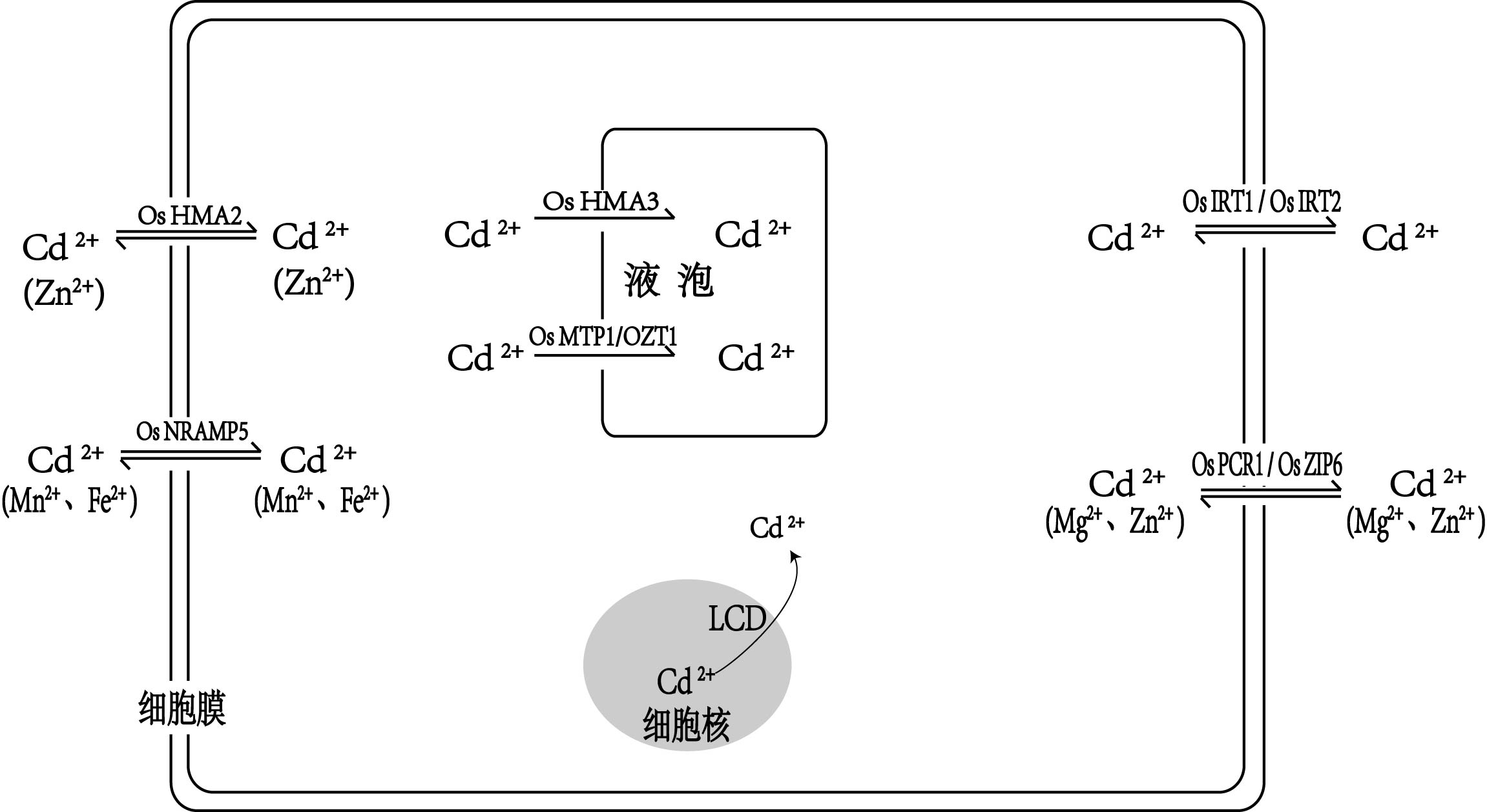 封面图片