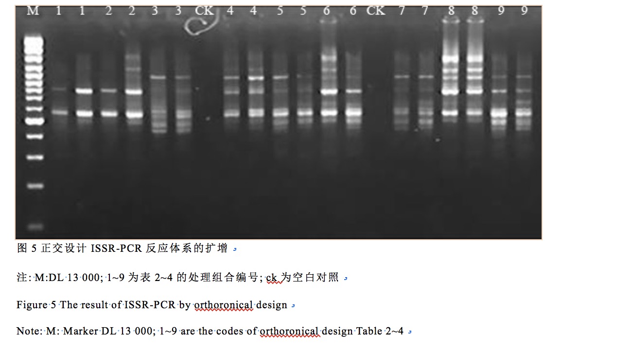 封面图片