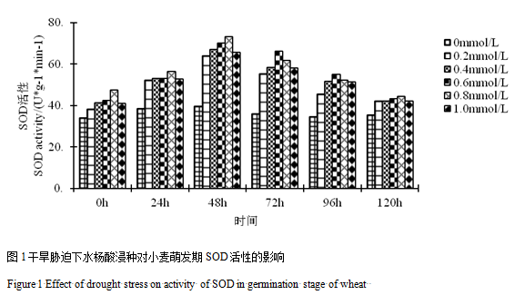 封面图片