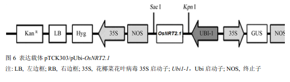 封面图片