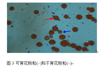 封面图片