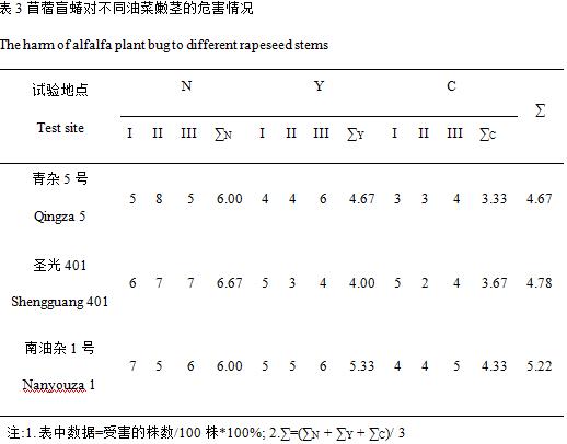 封面图片