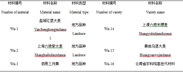 封面图片