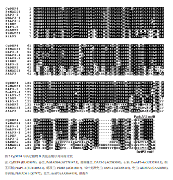 封面图片