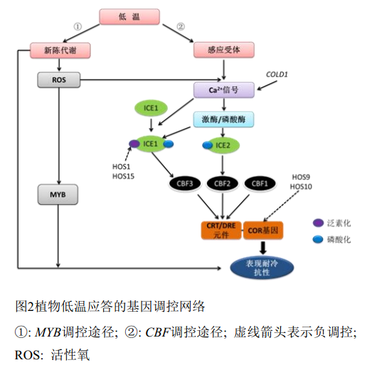 封面图片