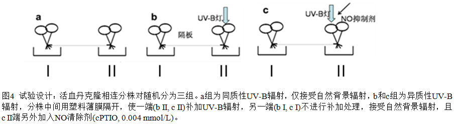 封面图片