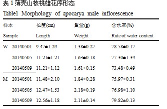 封面图片