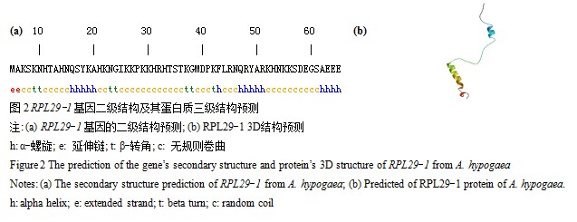 封面图片