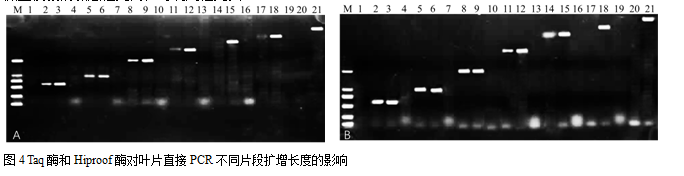 封面图片