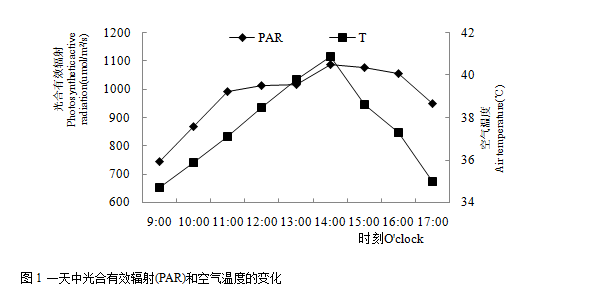 封面图片