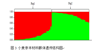 封面图片