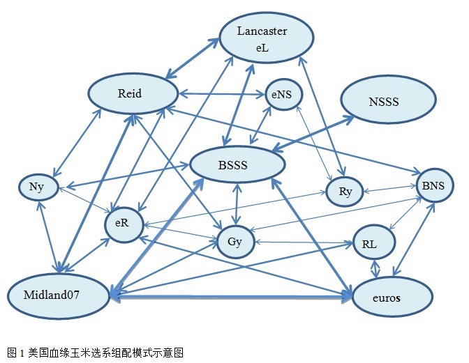 封面图片