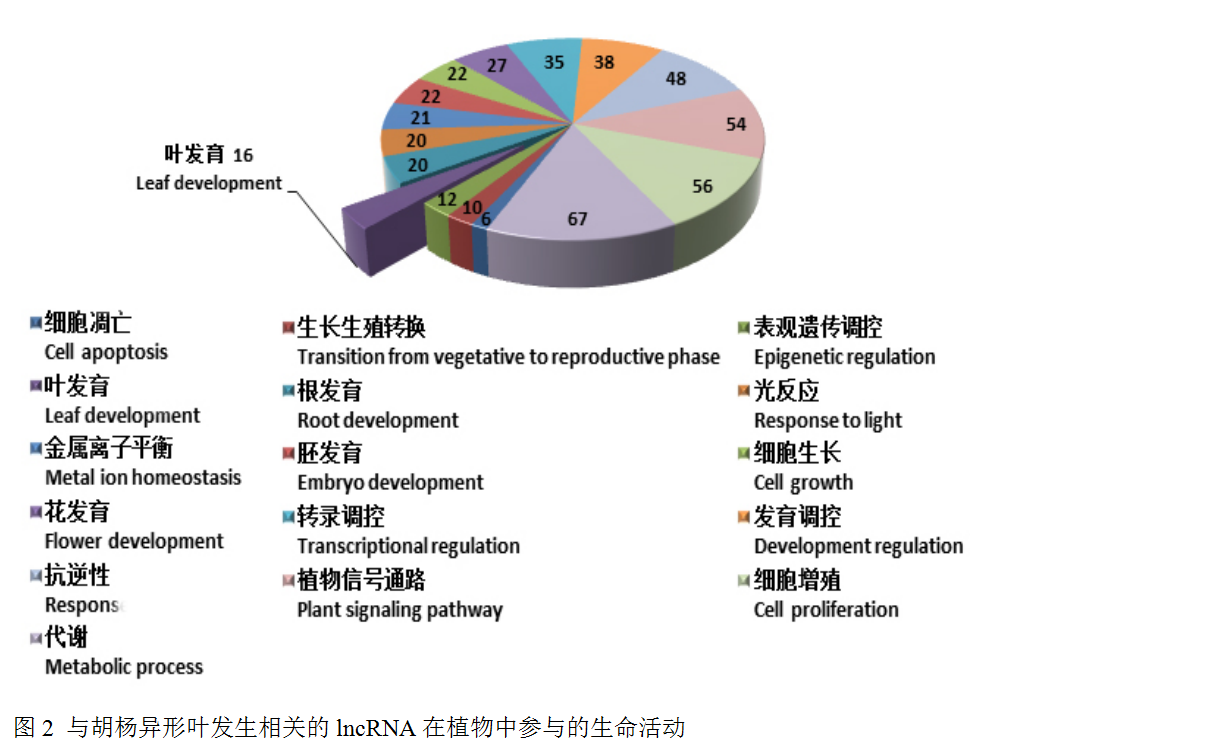 封面图片