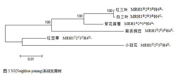 封面图片