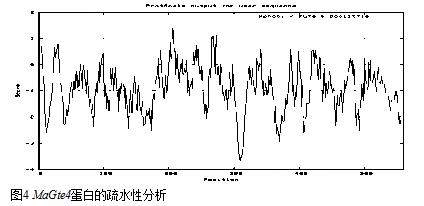 封面图片