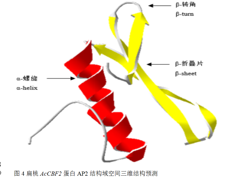 封面图片