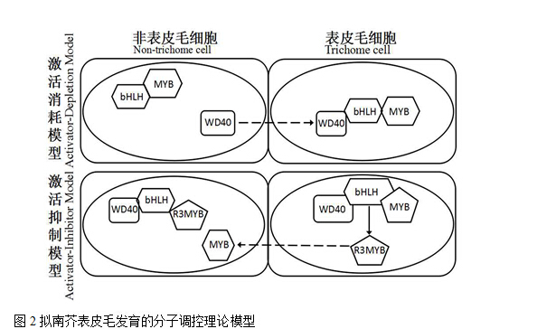 封面图片