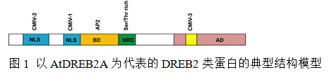 封面图片