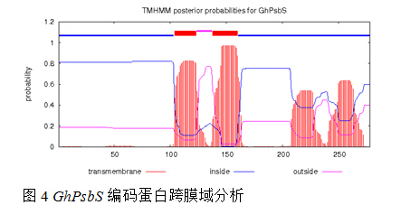 封面图片