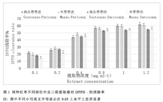 封面图片