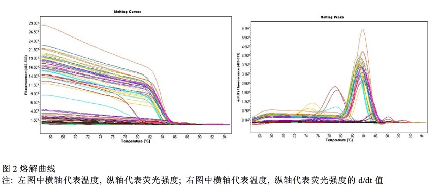 封面图片