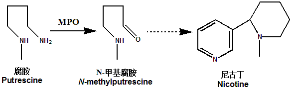 封面图片