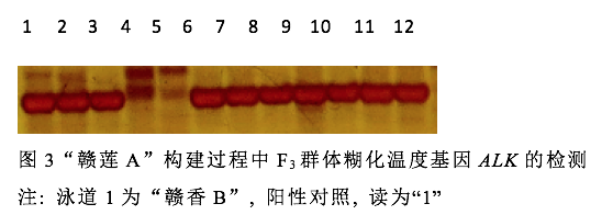 封面图片